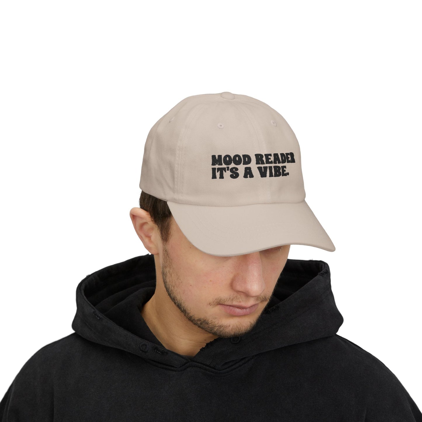 "Mood Reader It's a Vibe"- Embroidered Literary Dad Cap (Black Text)