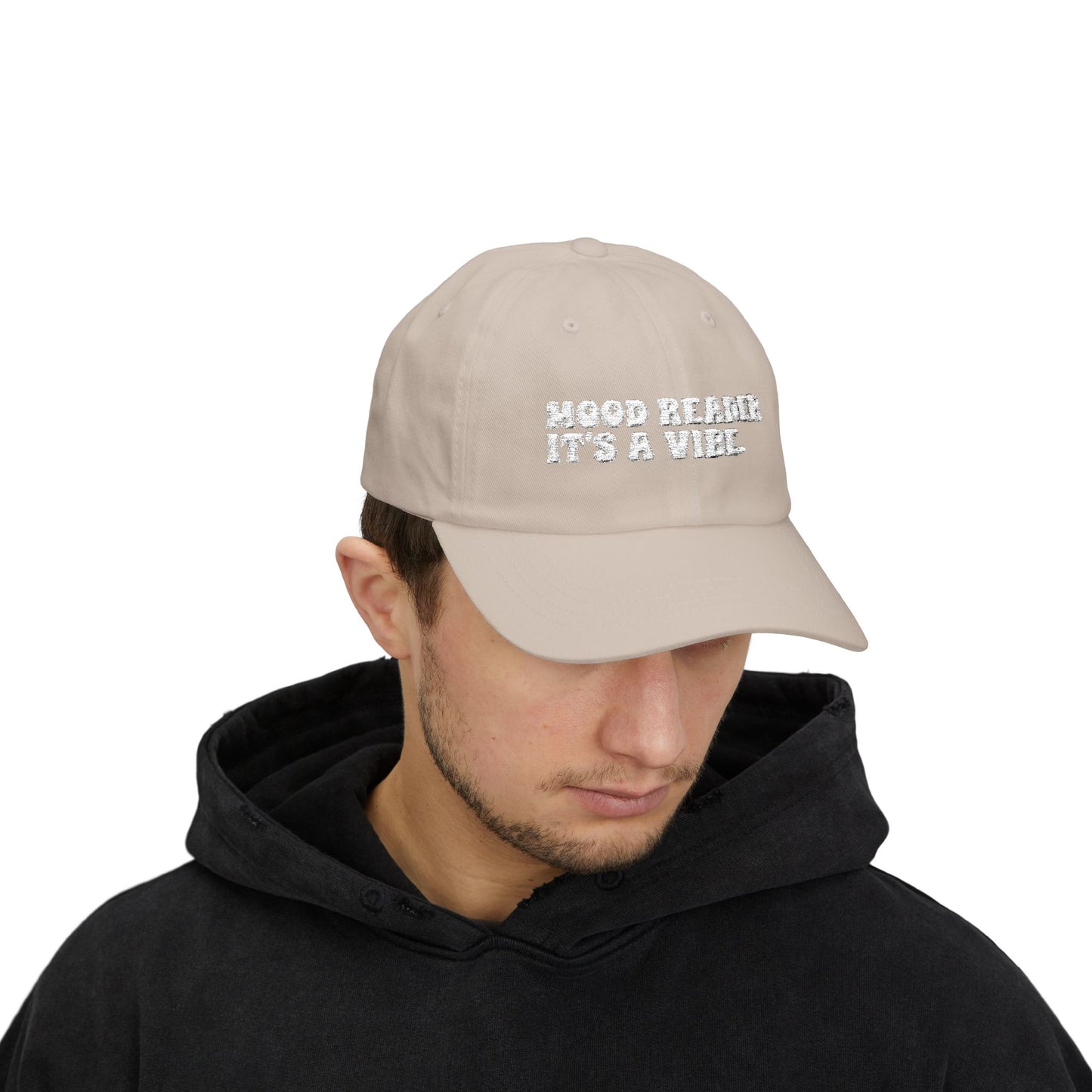 "Mood Reader It's a Vibe"- Embroidered Literary Dad Cap (White Text)