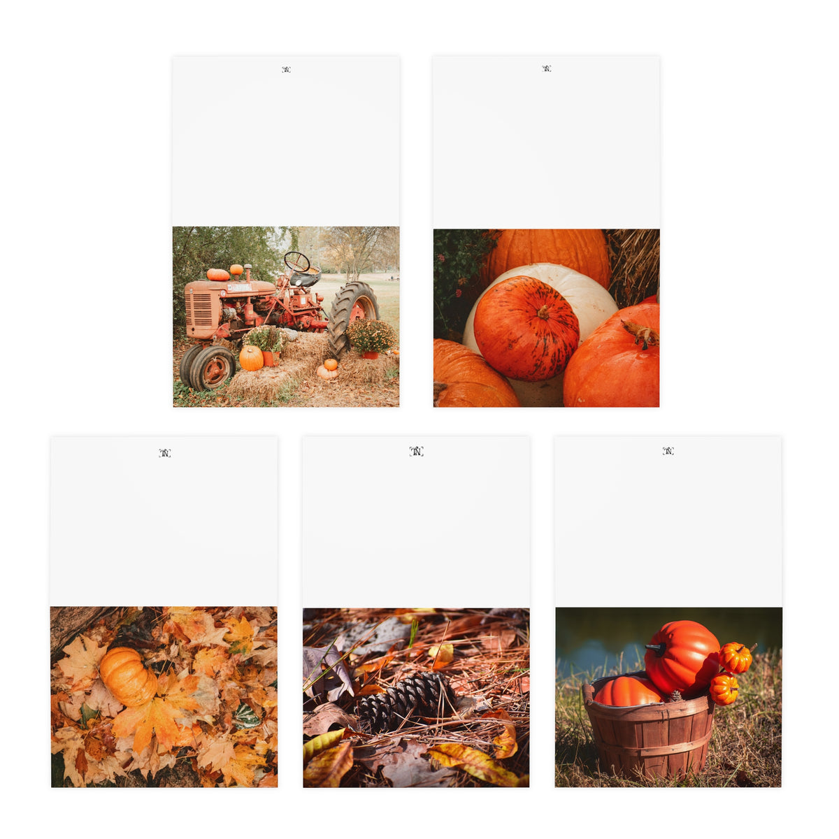 Autumn-Themed Greeting Cards Set
