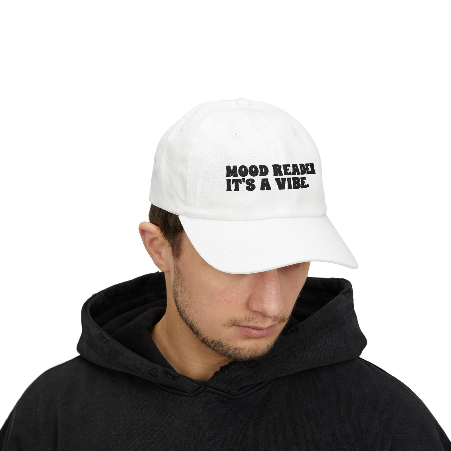 "Mood Reader It's a Vibe"- Embroidered Literary Dad Cap (Black Text)
