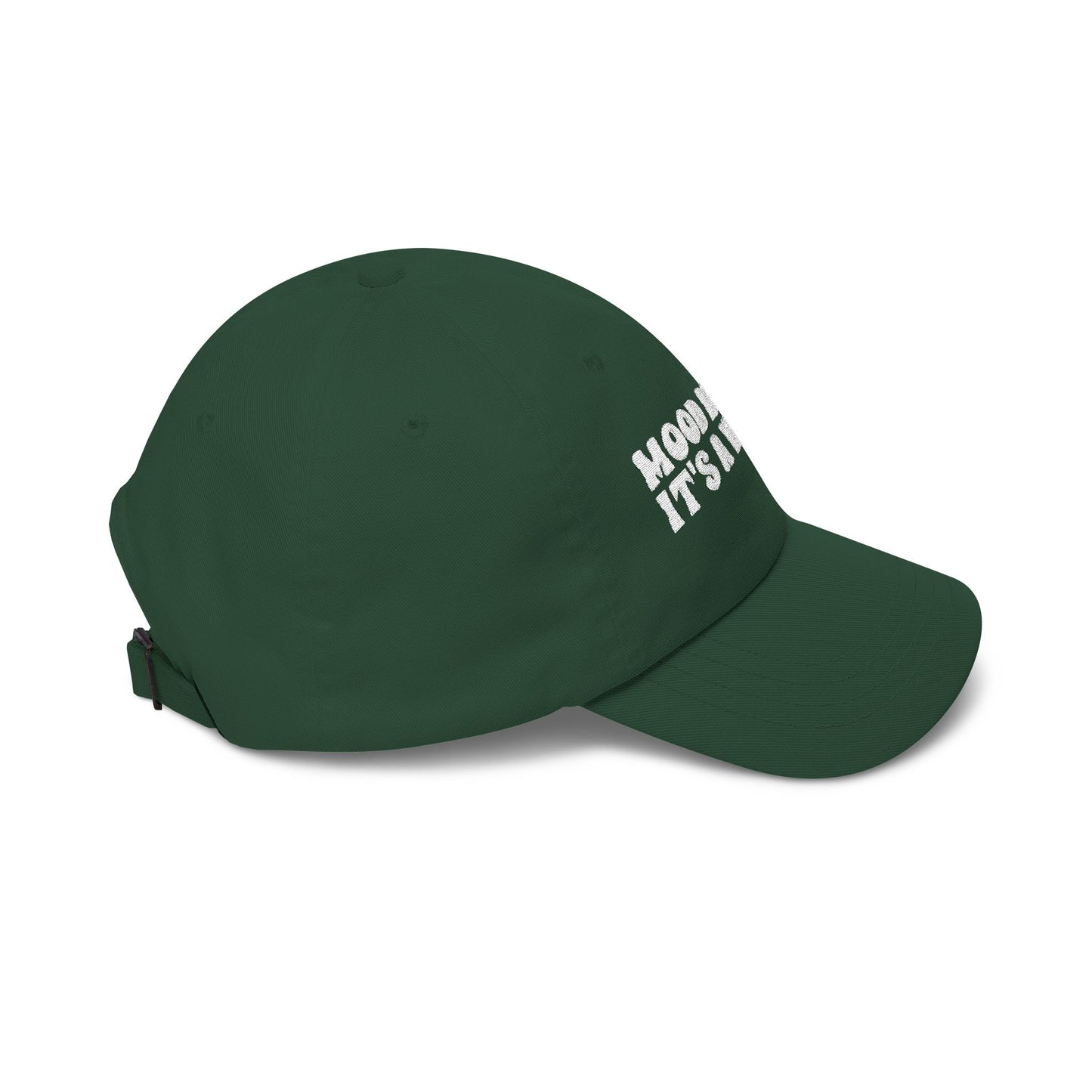 "Mood Reader It's a Vibe"- Embroidered Literary Dad Cap (White Text)