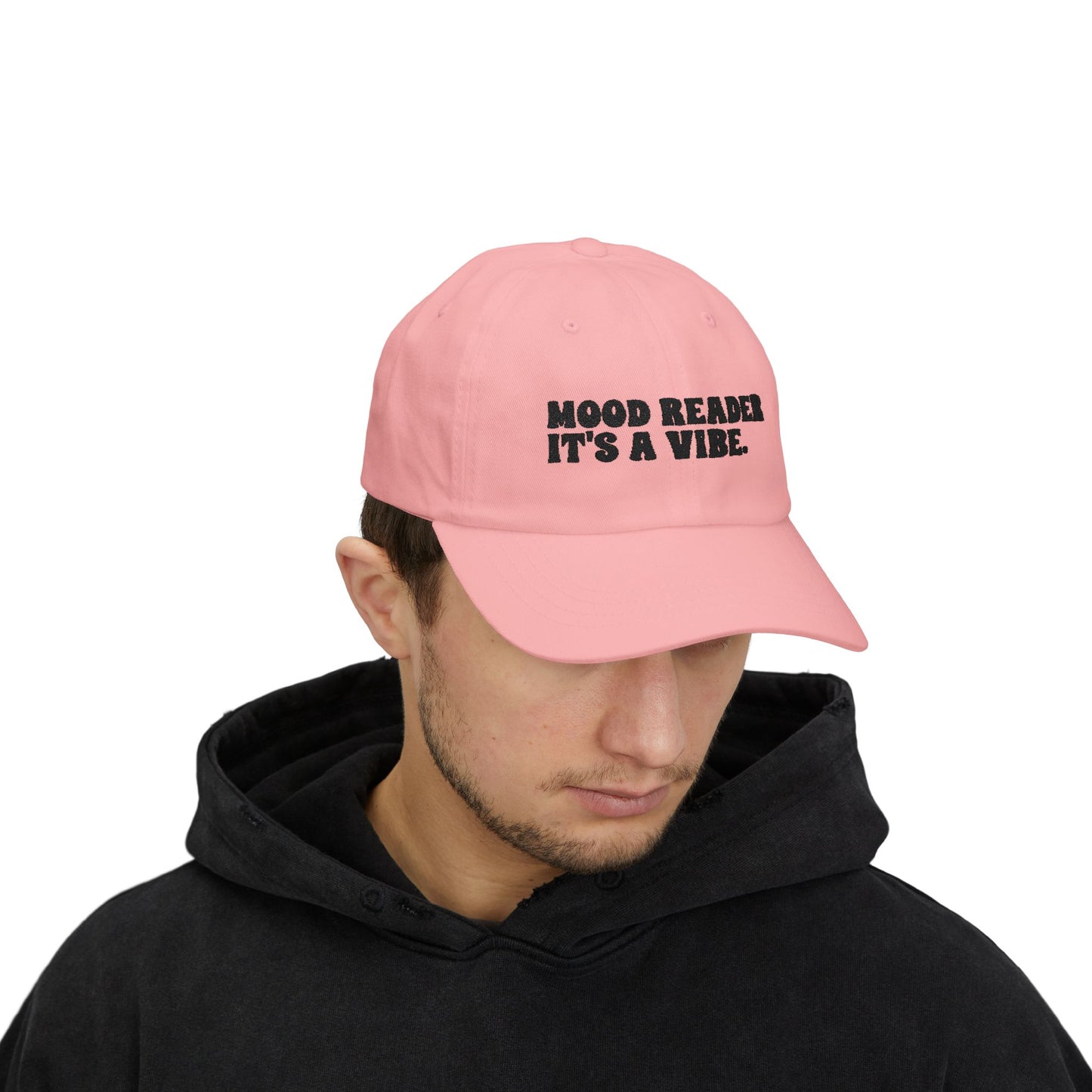 "Mood Reader It's a Vibe"- Embroidered Literary Dad Cap (Black Text)
