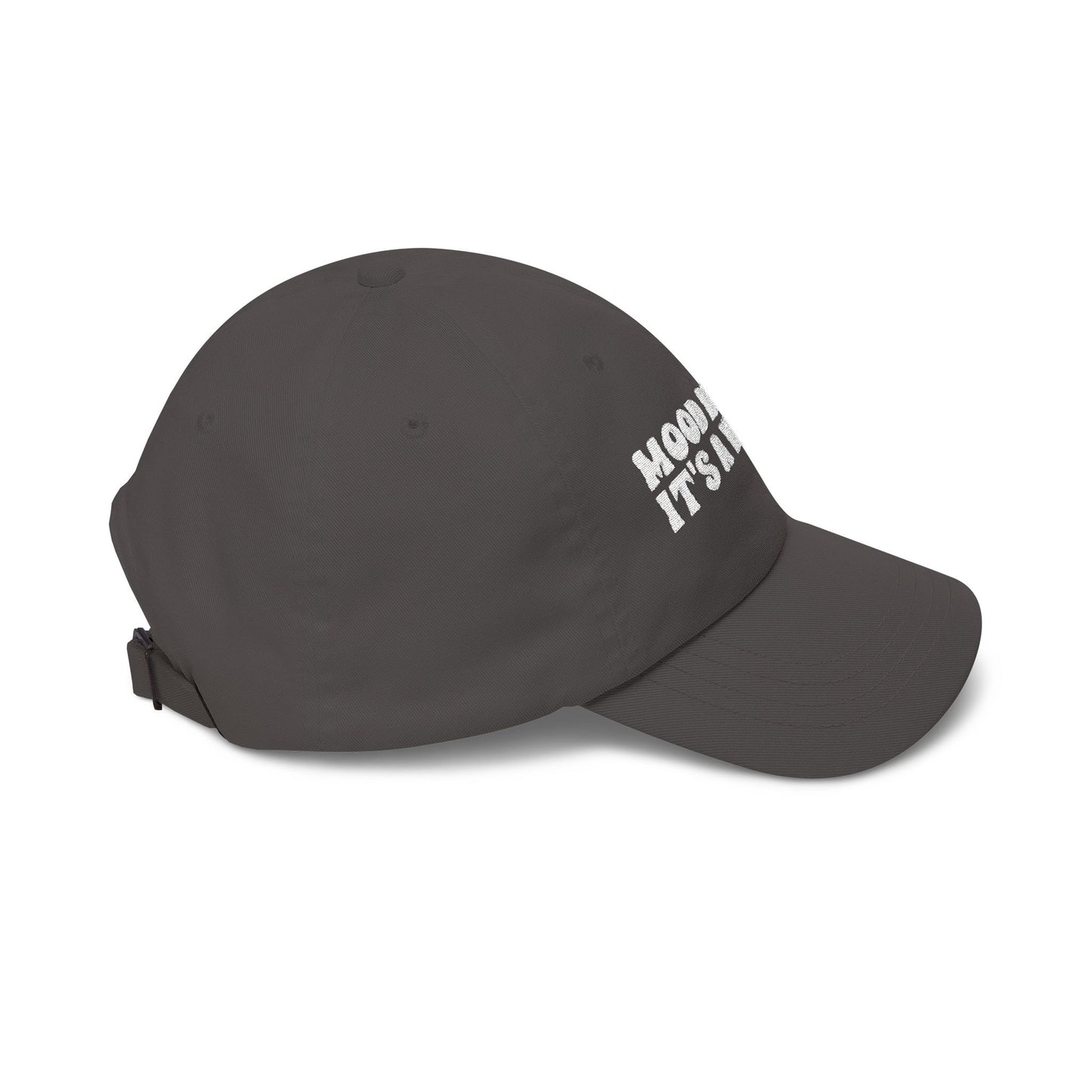 "Mood Reader It's a Vibe"- Embroidered Literary Dad Cap (White Text)