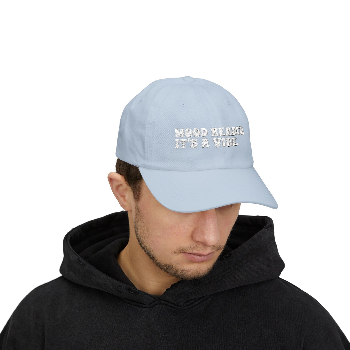 "Mood Reader It's a Vibe"- Embroidered Literary Dad Cap (White Text)